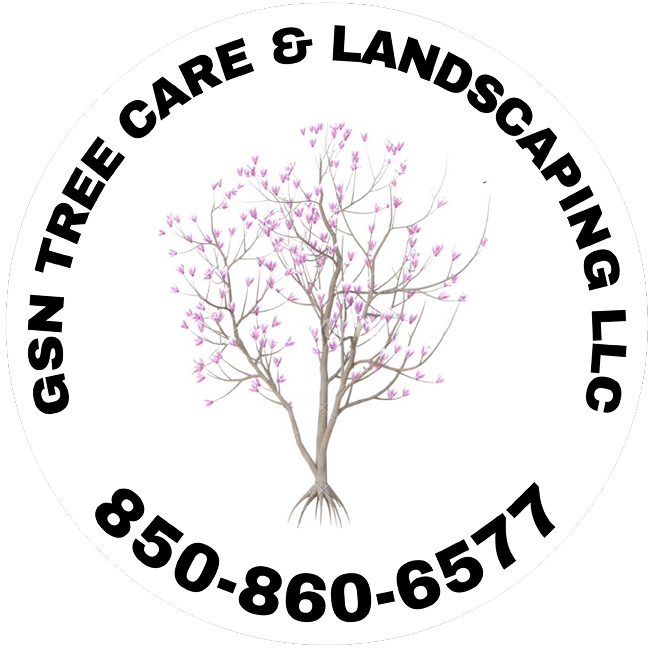 GSN Tree Care & Landscaping (2)