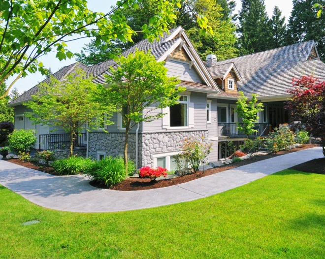GSN Tree Care & Landscaping d