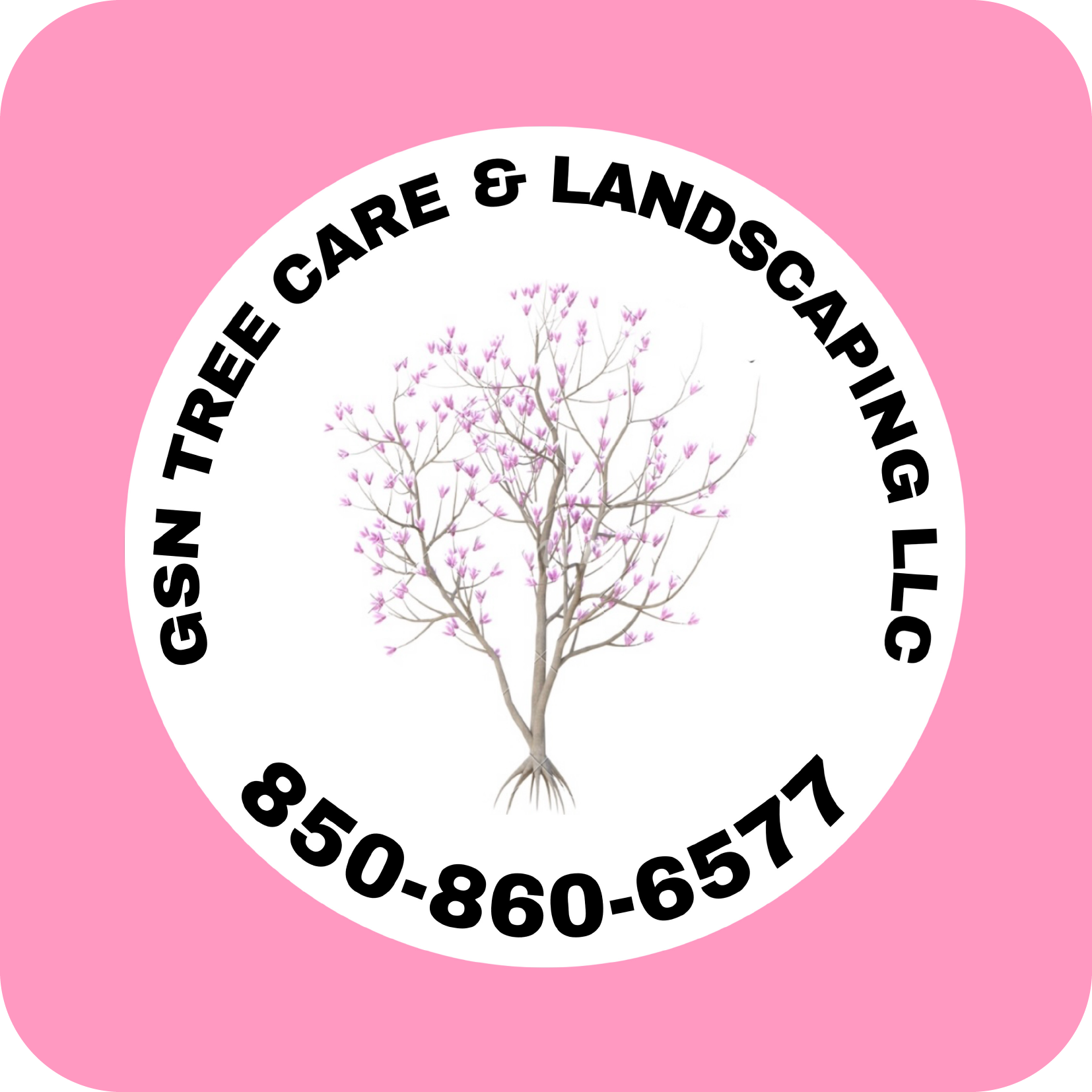 GSN Tree Care & Landscaping